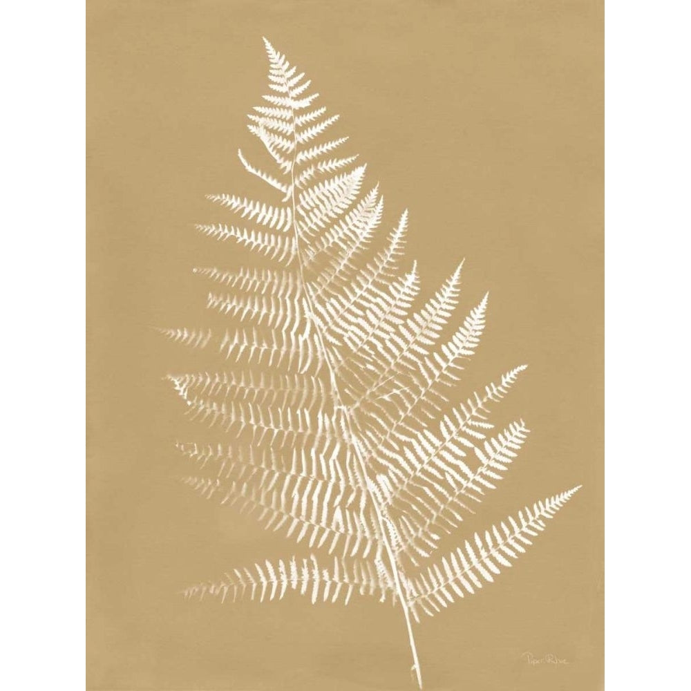 Nature by the Lake Ferns VI Brown by Piper Rhue-VARPDX71077 Image 1