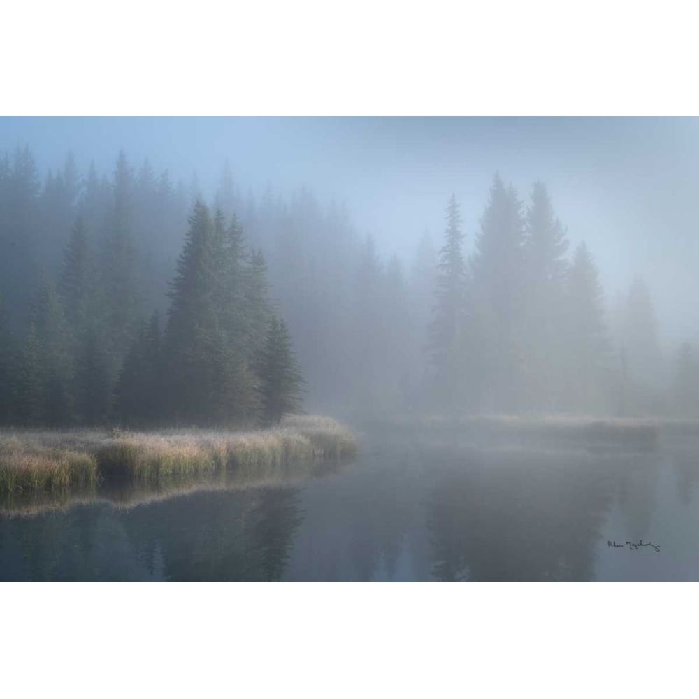 Grand Teton Lake Fog by Alan Majchrowicz-VARPDX71205 Image 1