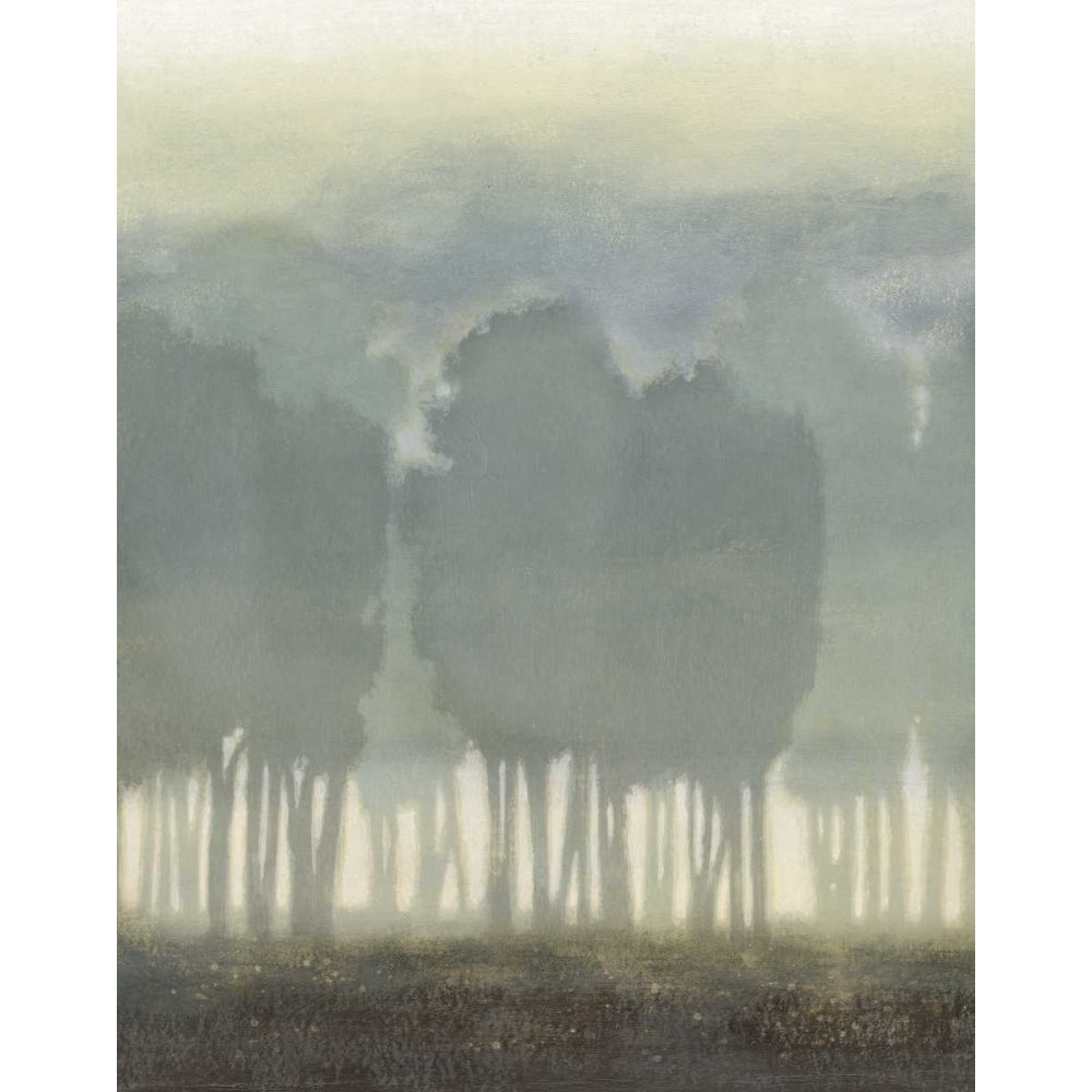 Treeline Haze II Poster Print - Studio Vision-VARPDX71554Z Image 1