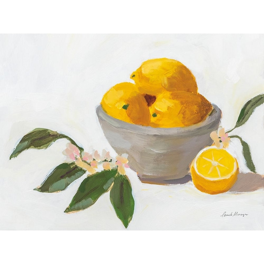 Lemons in Grey Bowl Poster Print - Pamela Munger-VARPDX71597 Image 1