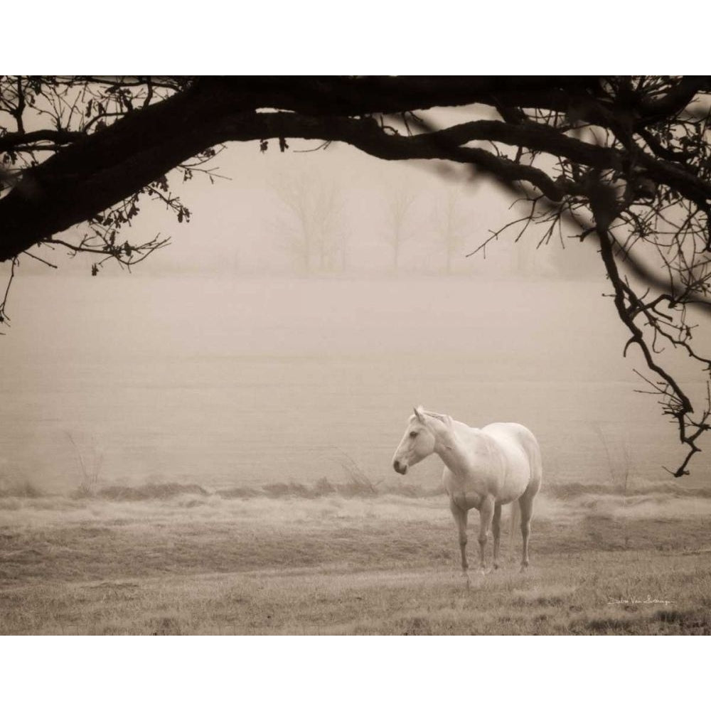 Hazy Horse II by Debra Van Swearingen-VARPDX71669 Image 1