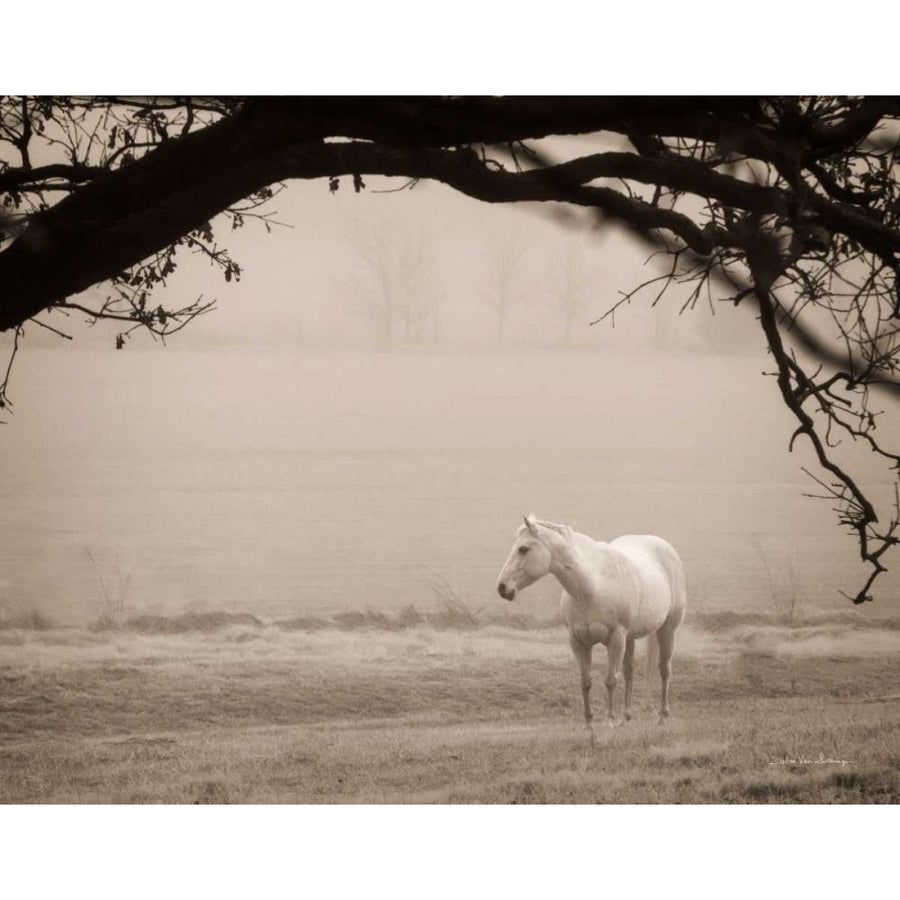 Hazy Horse II by Debra Van Swearingen-VARPDX71669 Image 1