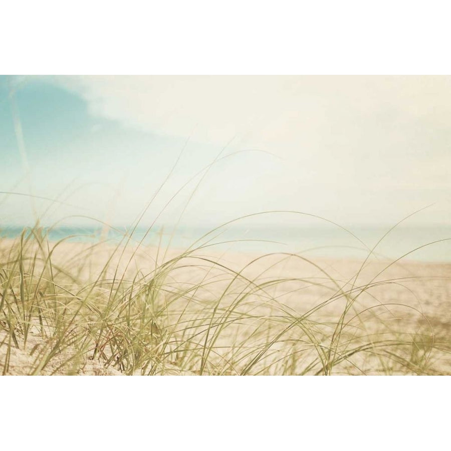 Beach Grass V Light by Elizabeth Urquhart-VARPDX71694 Image 1