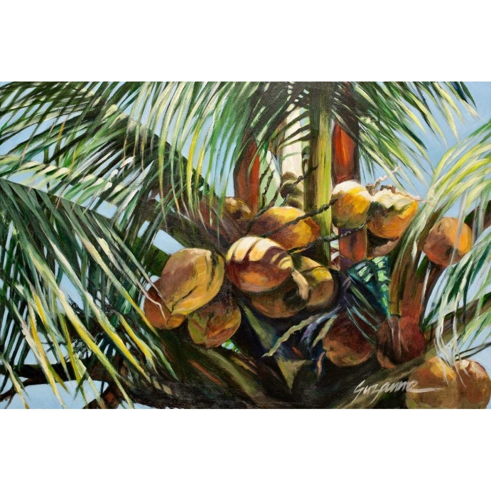 Los Cocos Poster Print - Suzanne Wilkins-VARPDX71764GG Image 1