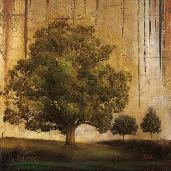 Aged Tree II Poster Print by Patricia Pinto-VARPDX7178 Image 1