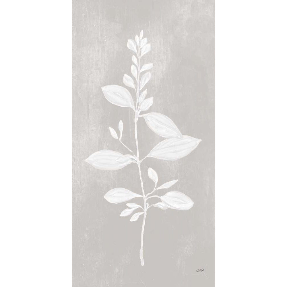 Botanical Study VIII Neutral by Julia Purinton-VARPDX71826 Image 1