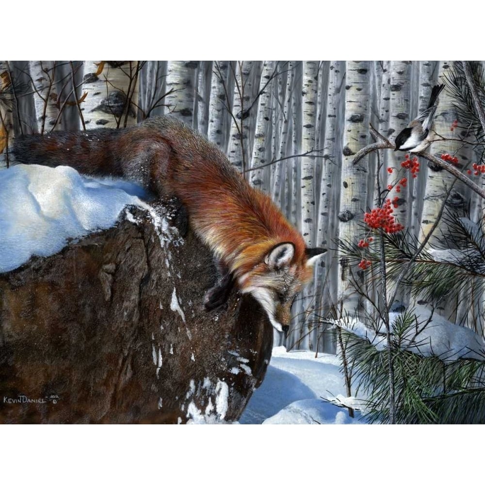 Fox in Winter Poster Print - Kevin Daniel-VARPDX71789GG Image 1