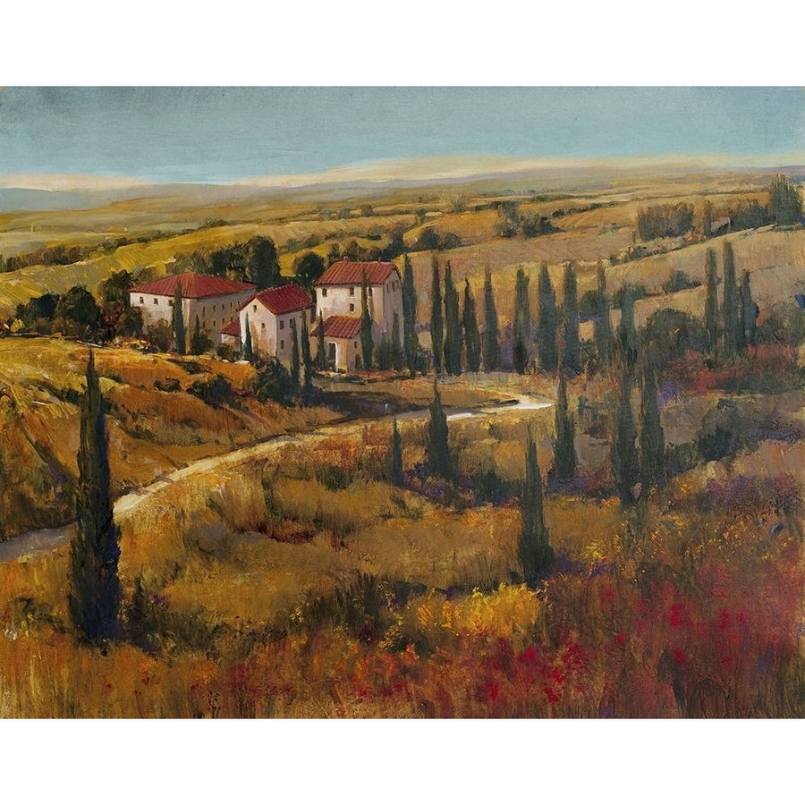 Tuscany II Poster Print - Tim OToole-VARPDX71913GG Image 1