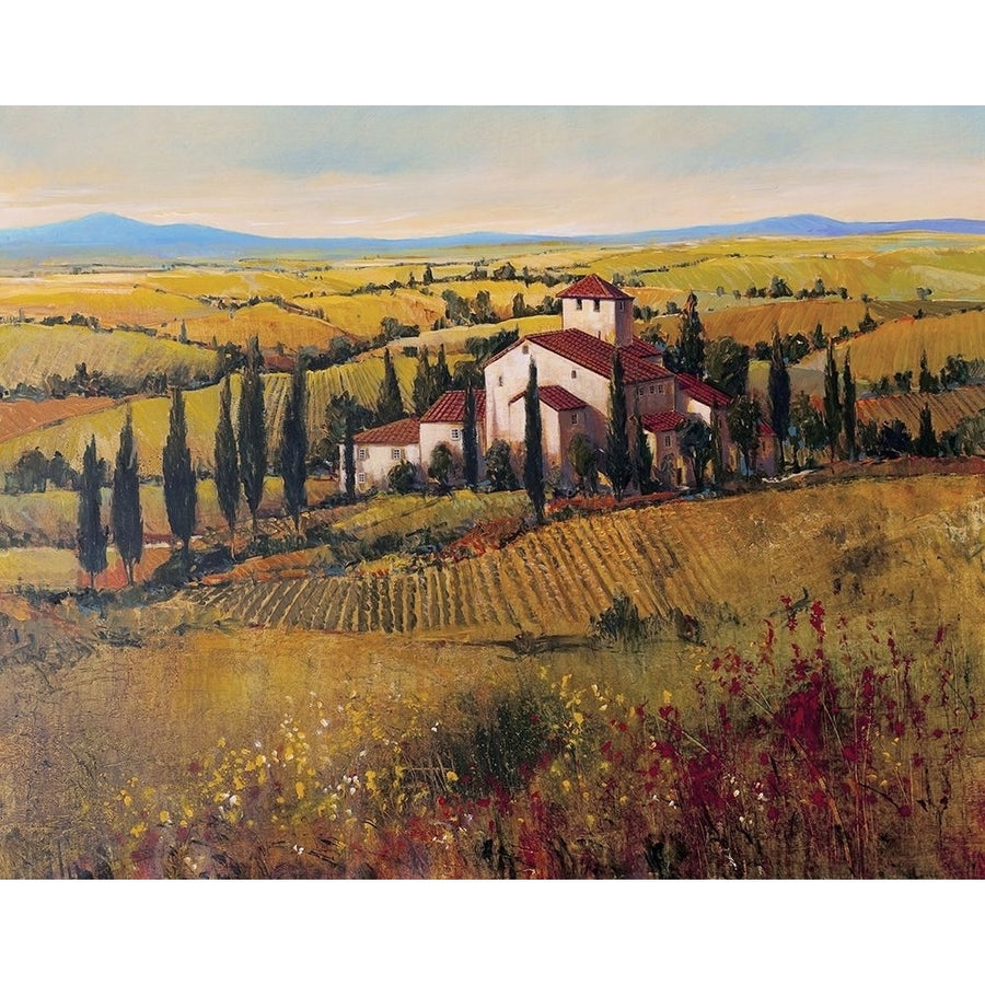 Tuscany III Poster Print - Tim OToole-VARPDX71937GG Image 1