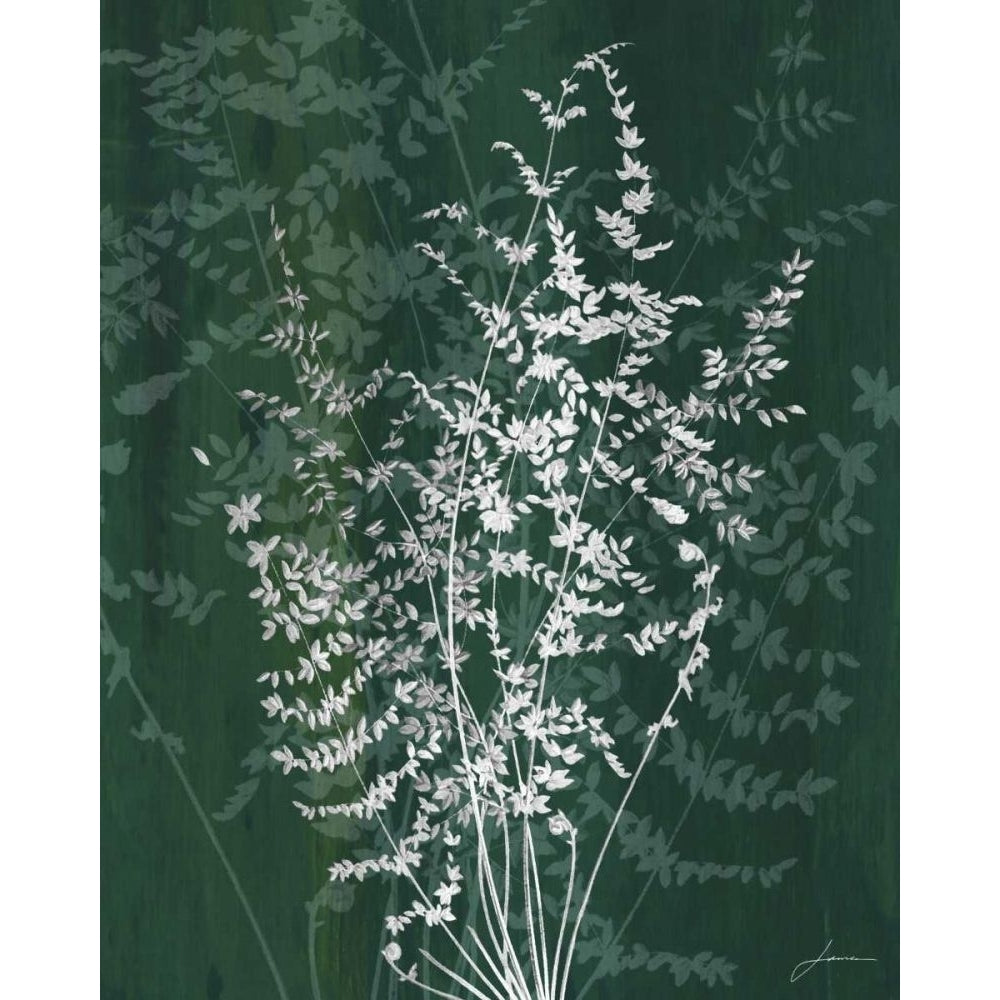 Jewel Ferns II Poster Print - James Burghardt-VARPDX71998GG Image 1