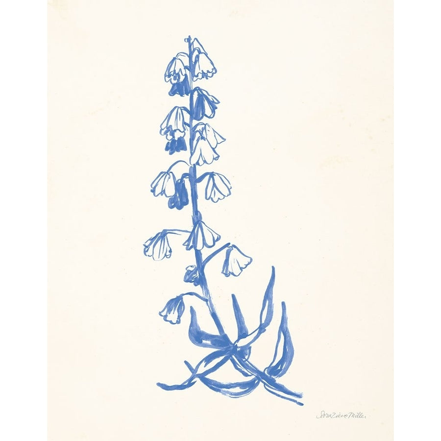 Bluebells I Poster Print - Sara Zieve Miller-VARPDX72123 Image 1