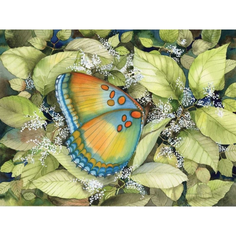 Royal Butterfly by Kathleen Parr McKenna-VARPDX72264 Image 1