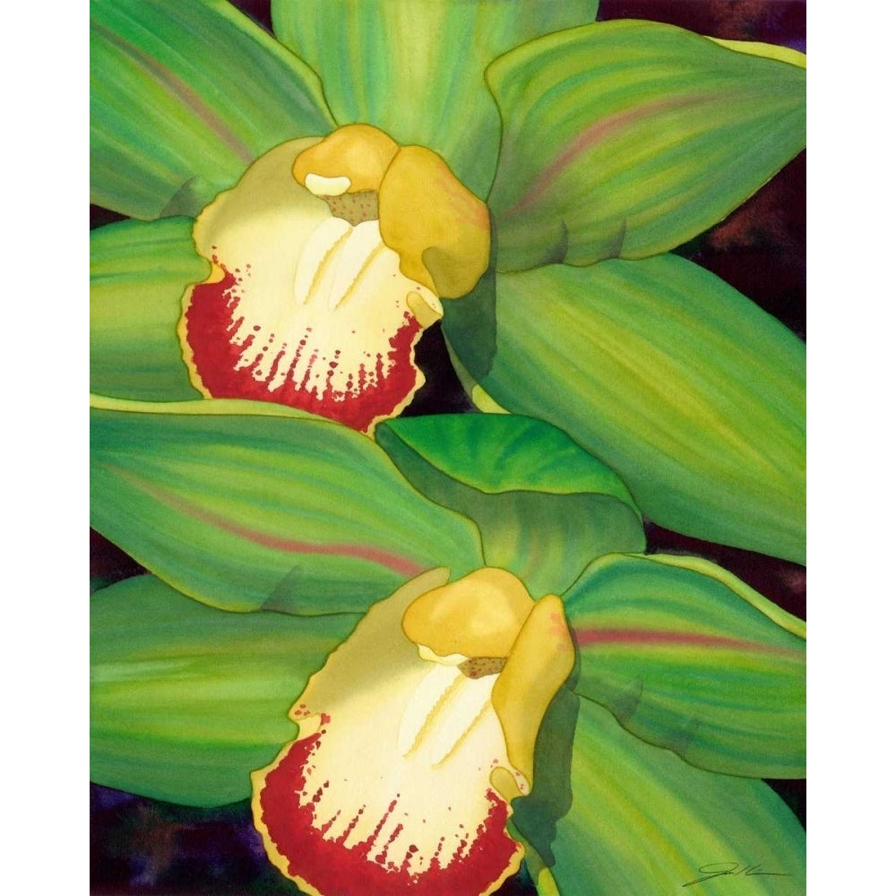 Lime Orchid I Poster Print - Jason Higby-VARPDX72460GG Image 1