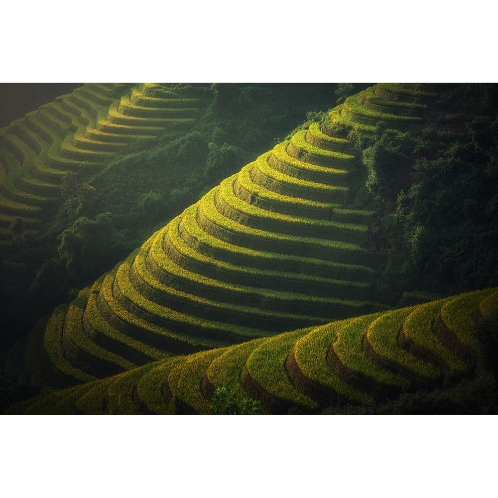 Green Terraces Poster Print - Artographie-VARPDX72521 Image 1