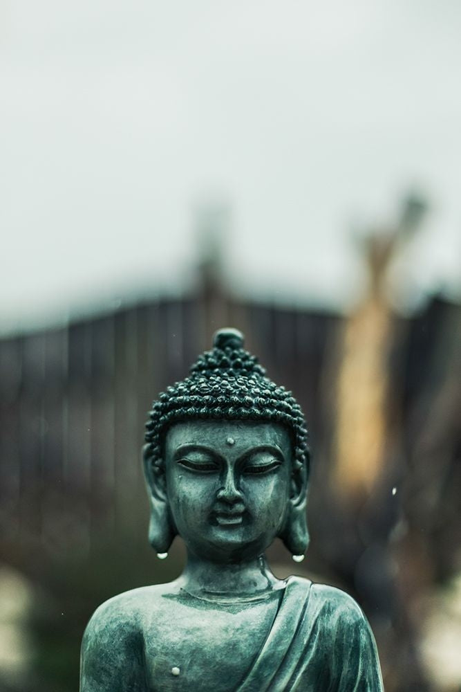 Green Buddha Statue Poster Print - Artographie-VARPDX72516 Image 1