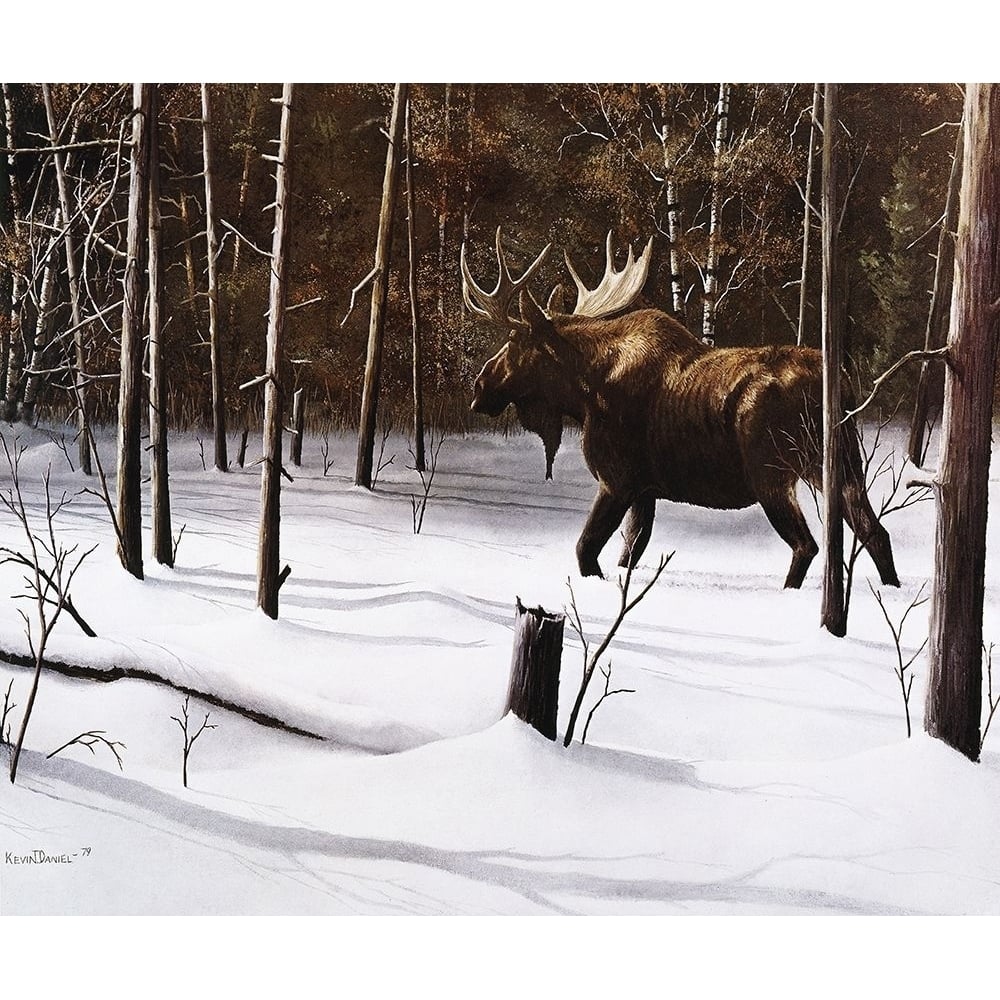 Winter Forage Poster Print - Kevin Daniel-VARPDX72814GG Image 1