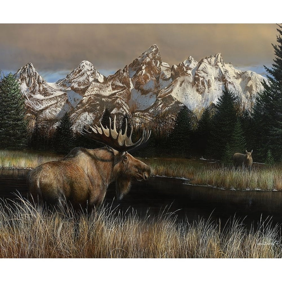 Teton Majesty Poster Print - Kevin Daniel-VARPDX72810GG Image 1