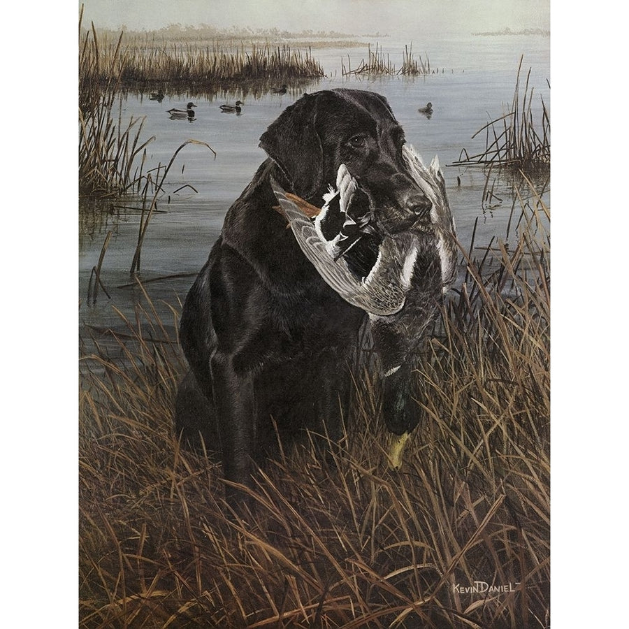 A Friend in the Marsh Poster Print - Kevin Daniel-VARPDX72829GG Image 1