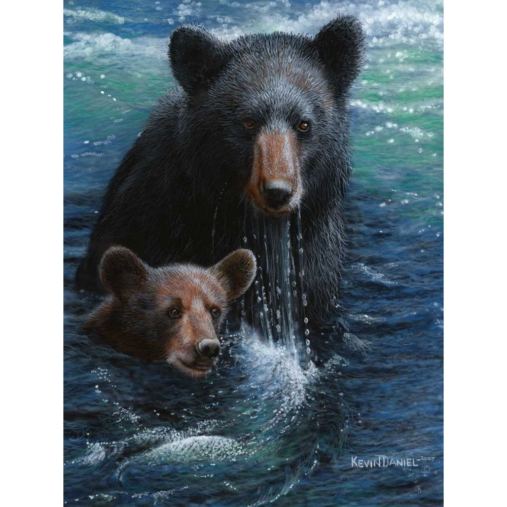 Bearly Swimming Poster Print - Kevin Daniel-VARPDX72836GG Image 1