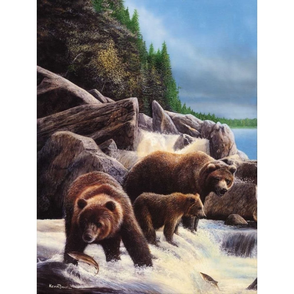 Grizzlies by Falls Poster Print - Kevin Daniel-VARPDX72835GG Image 1