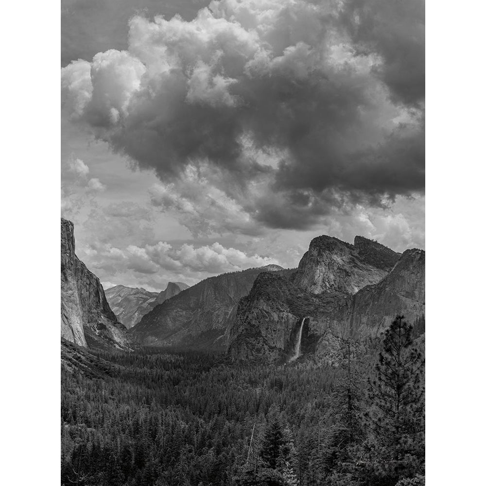 Scenic Landscape III BW Crop II Poster Print - Andre Eichman-VARPDX72991 Image 1