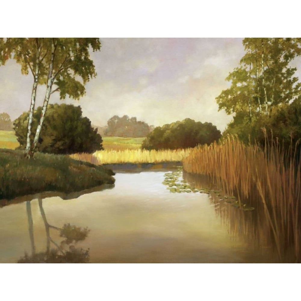 Reeds Birches and Water I Poster Print - Graham Reynolds-VARPDX73172GG Image 1