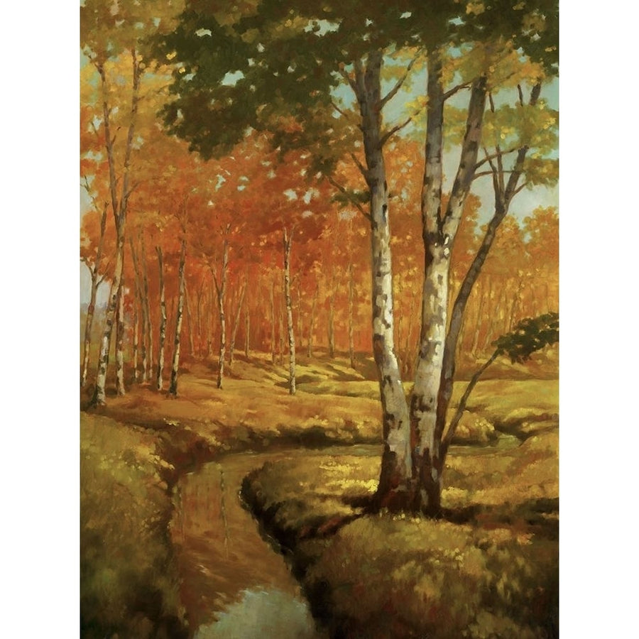 Woodland Stream II Poster Print - Graham Reynolds-VARPDX73195GG Image 1