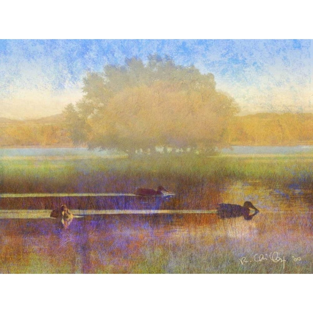 Ducks in Soft Mist Poster Print - Chris Vest-VARPDX73237GG Image 1