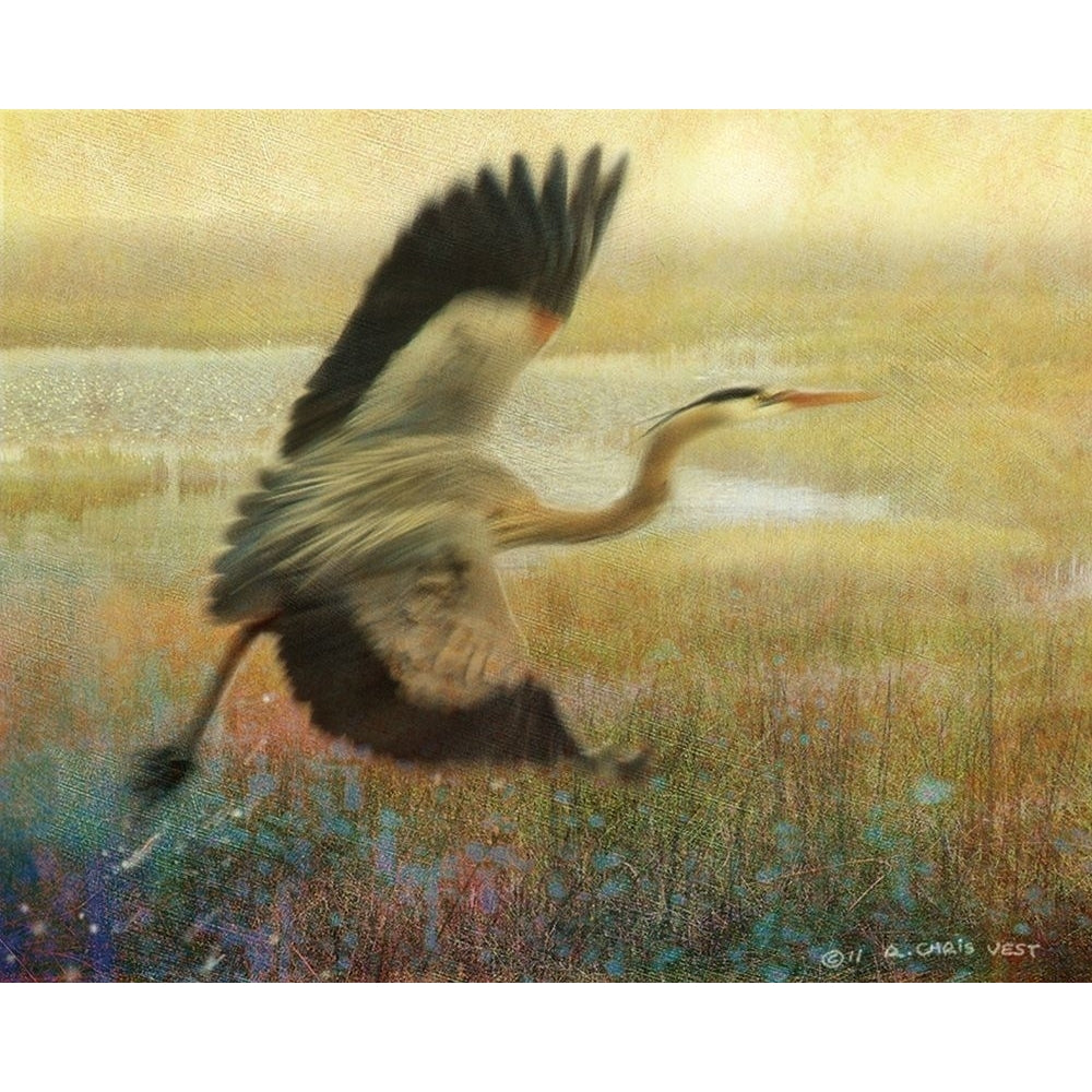 Foggy Heron I Poster Print - Chris Vest-VARPDX73268GG Image 1