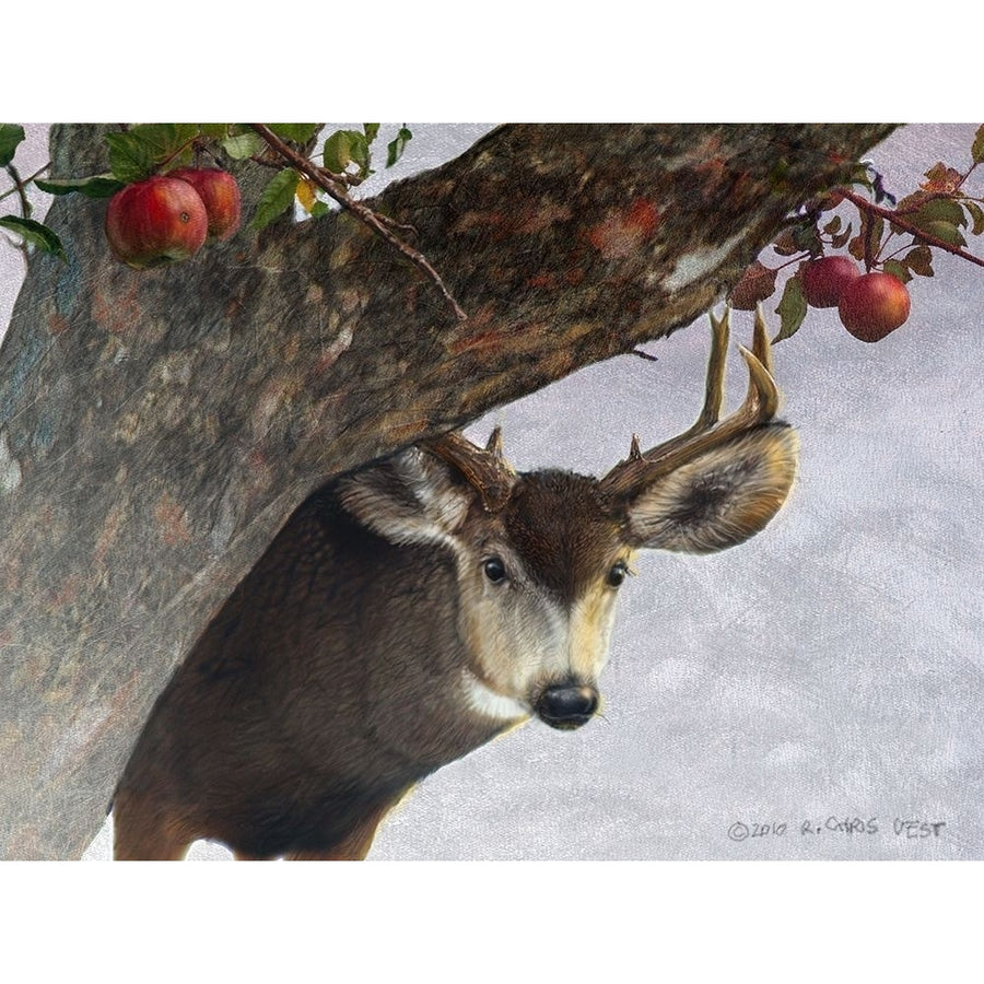 Apple Deer Poster Print - Chris Vest-VARPDX73279GG Image 1