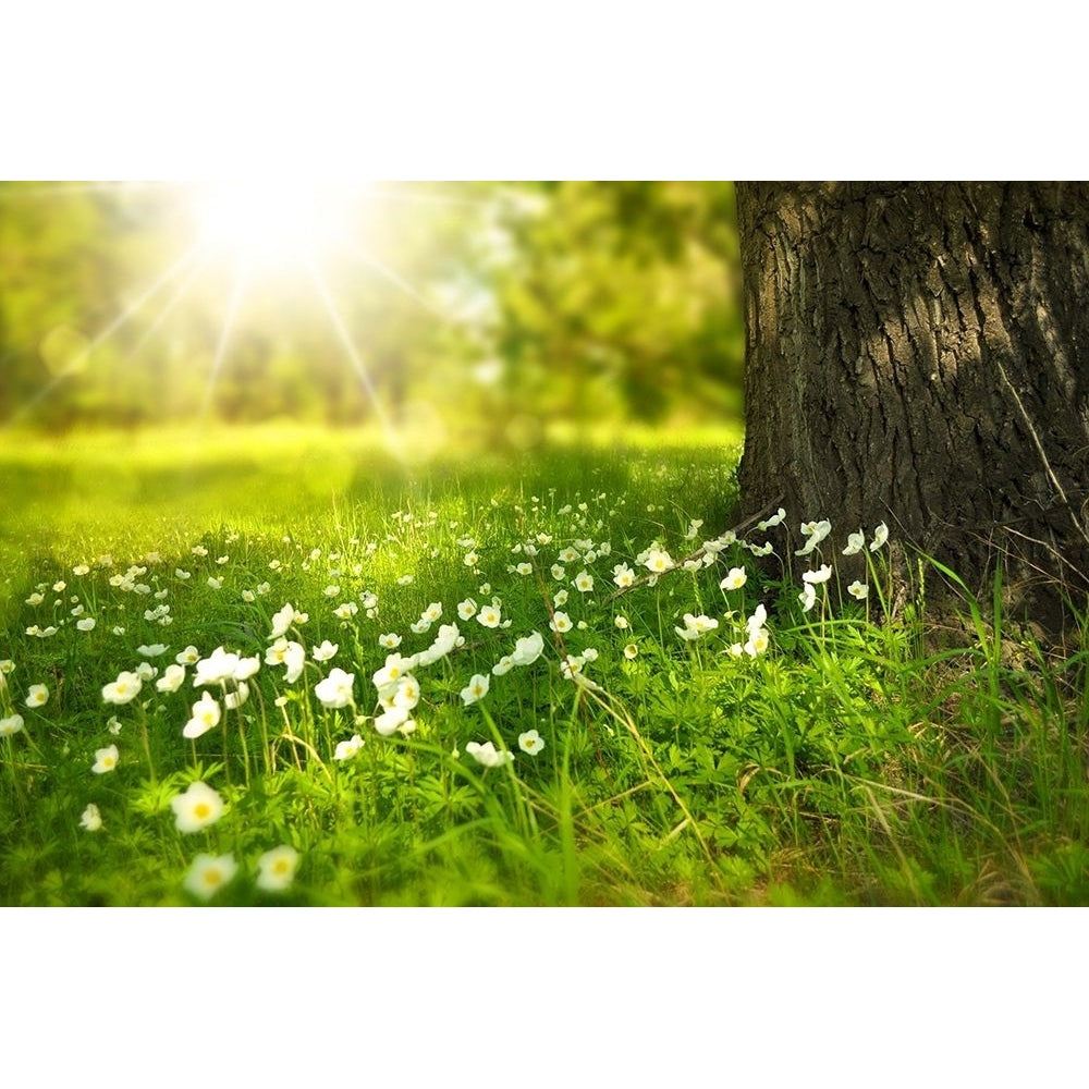 Spring Meadow Poster Print - Artographie-VARPDX73338 Image 1