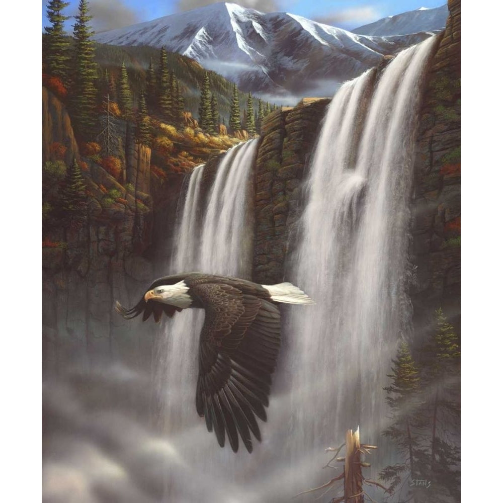 Eagle Portrait Poster Print - Leo Stans-VARPDX73368GG Image 1