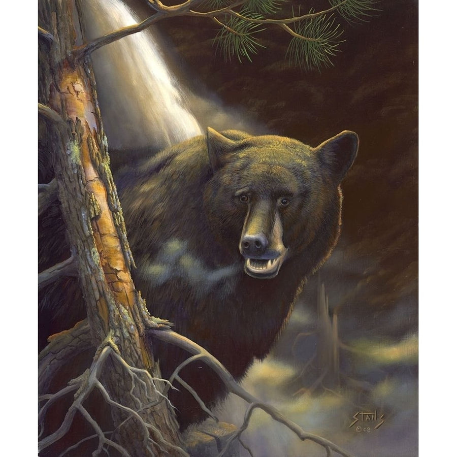 Bear Portrait Poster Print - Leo Stans-VARPDX73367GG Image 1