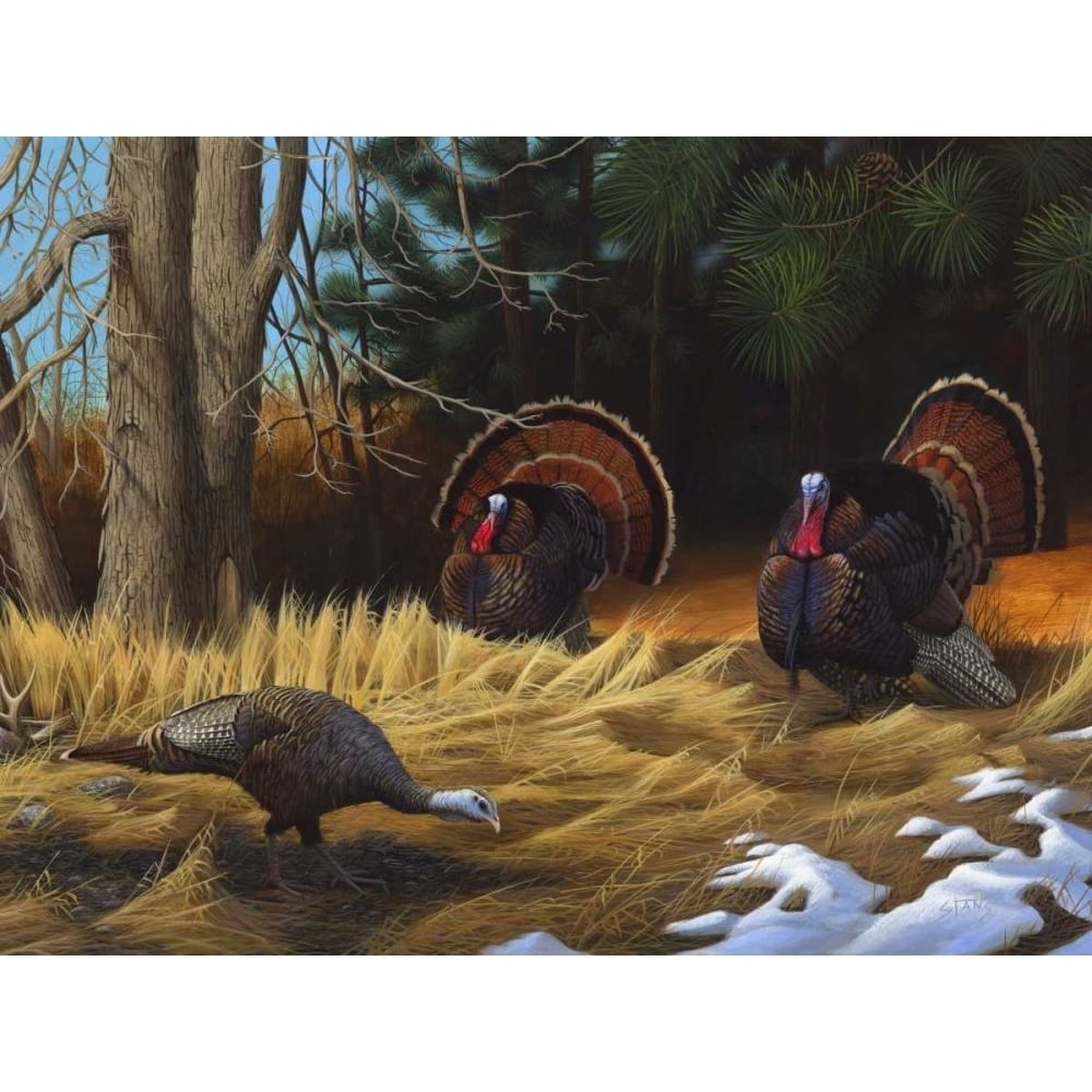 Turkies Poster Print - Leo Stans-VARPDX73373GG Image 1