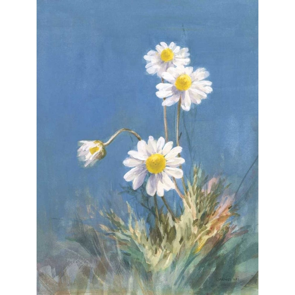 White Daisies No Butterfly by Danhui Nai-VARPDX73433 Image 1