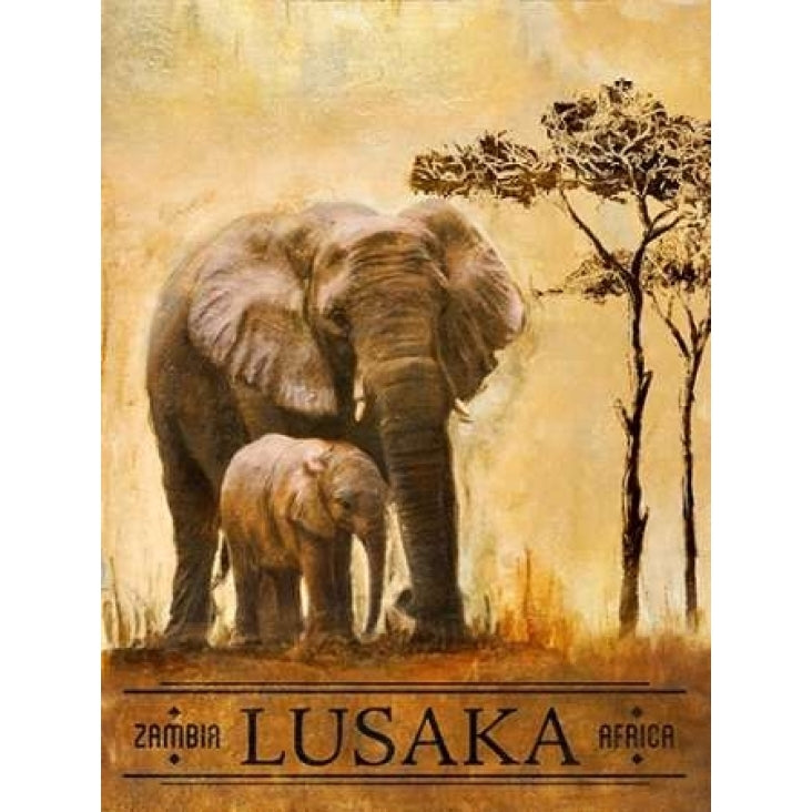 Lusaka Poster Print by Patricia Pinto-VARPDX7347F Image 2