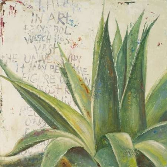 Aloe I Poster Print by Patricia Pinto-VARPDX7355 Image 1