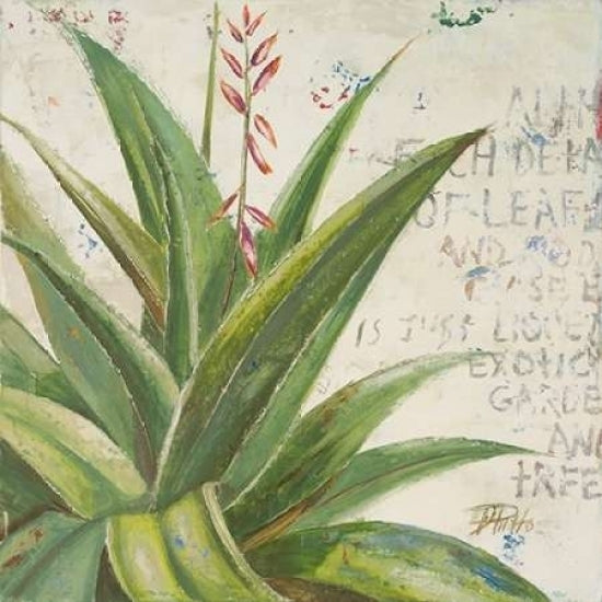 Aloe II Poster Print by Patricia Pinto-VARPDX7356 Image 2