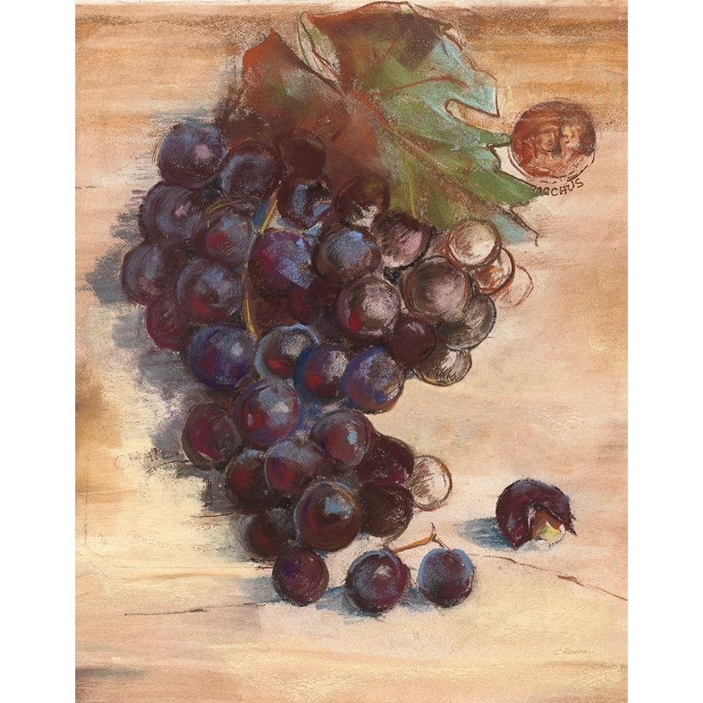 Grape Harvest III No Label Poster Print - Carol Rowan-VARPDX73685 Image 1