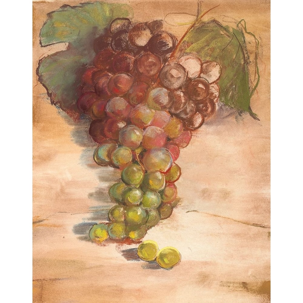 Grape Harvest II No Label Poster Print - Carol Rowan-VARPDX73684 Image 1