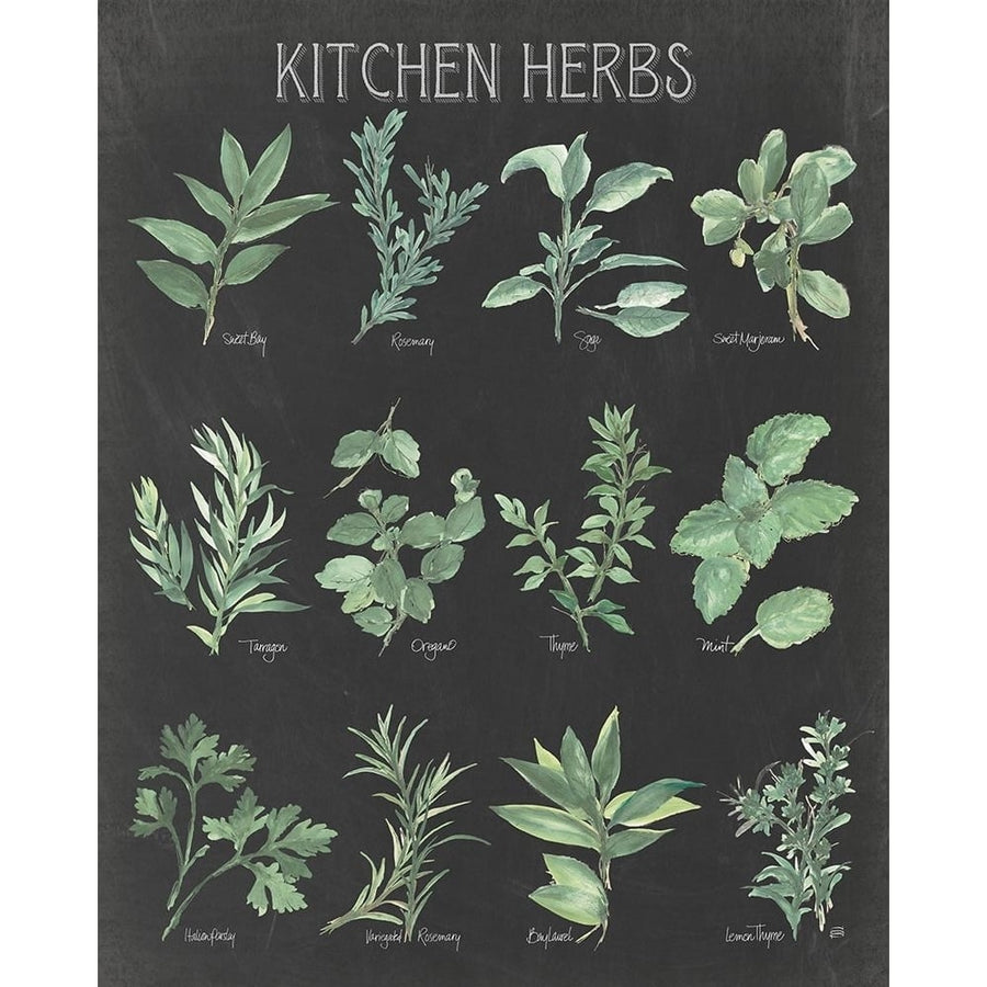 Kitchen Herb Chart on Black I Poster Print - Chris Paschke-VARPDX73707 Image 1