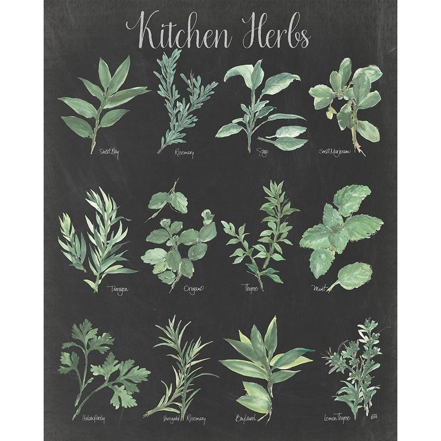 Kitchen Herb Chart on Black II Poster Print - Chris Paschke-VARPDX73752 Image 1