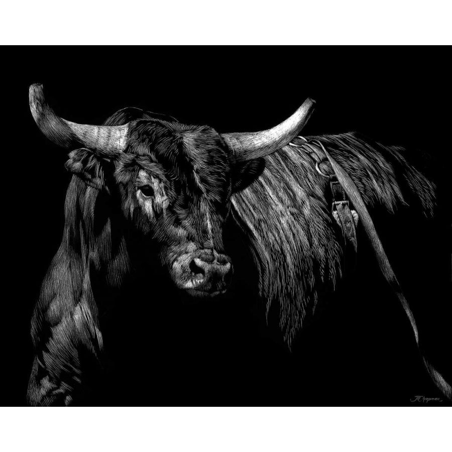 Brindle Rodeo Bull Poster Print - Julie T. Chapman-VARPDX73802GG Image 1