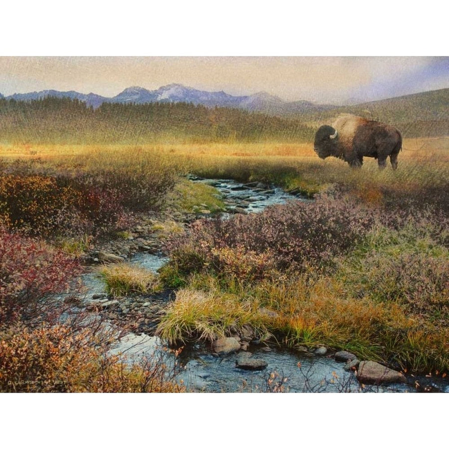 Bison and Creek Poster Print - Chris Vest-VARPDX73837GG Image 1