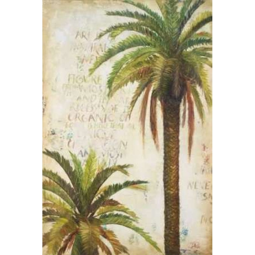 Palms and Scrolls I Poster Print by Patricia Pinto-VARPDX7386 Image 1