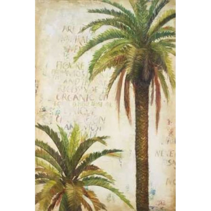 Palms and Scrolls I Poster Print by Patricia Pinto-VARPDX7386 Image 1