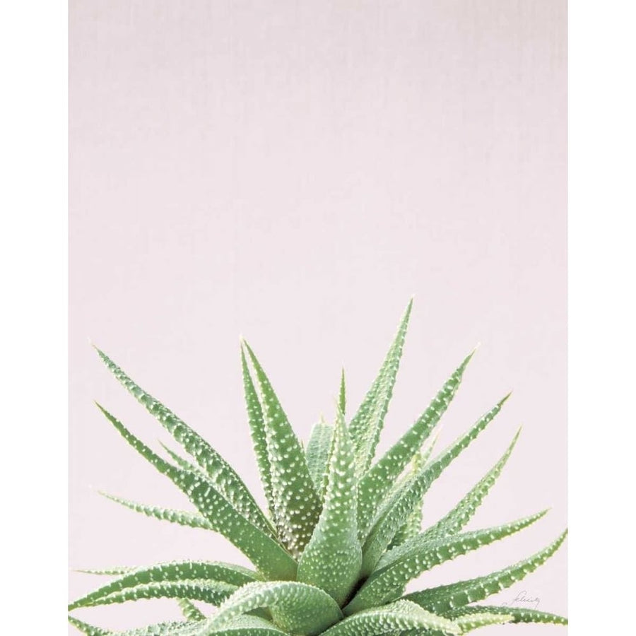 Succulent Simplicity Soft I Crop by Felicity Bradley-VARPDX73943 Image 1