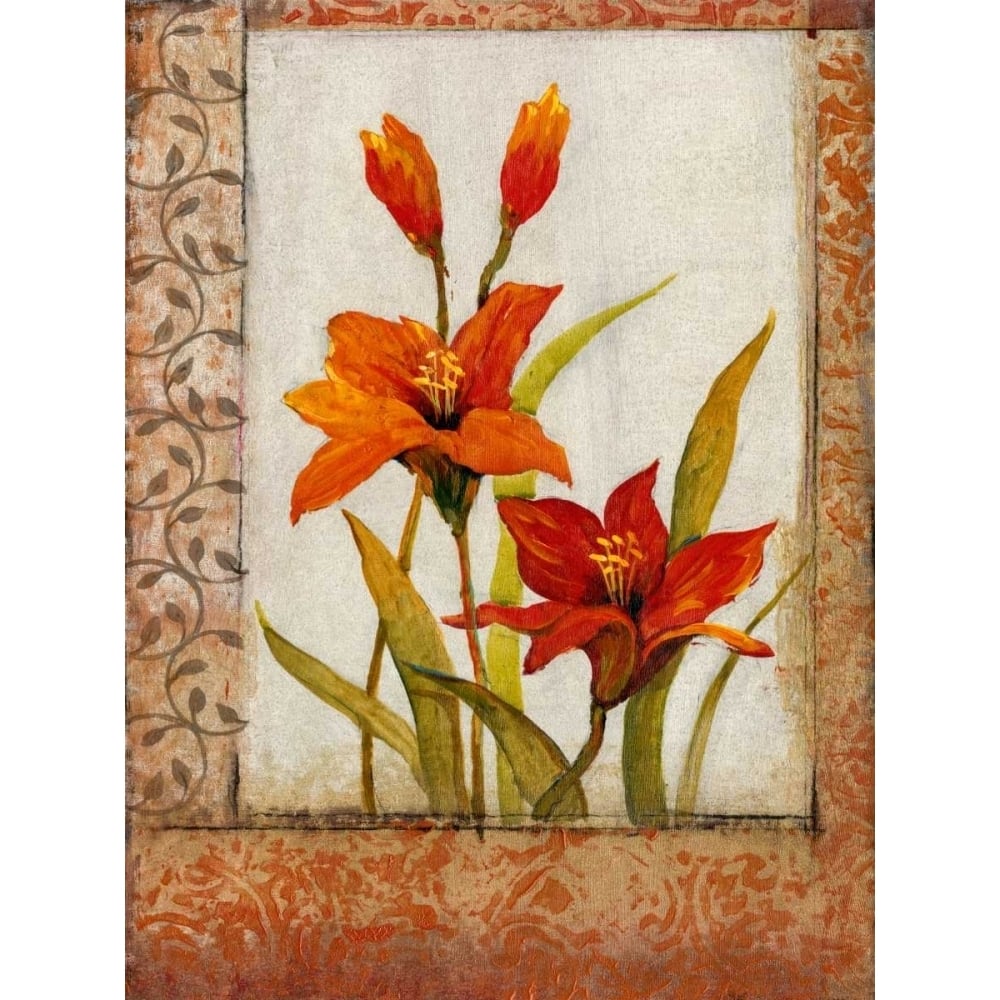 Tulip Inset I Poster Print - Tim OToole-VARPDX74001GG Image 1