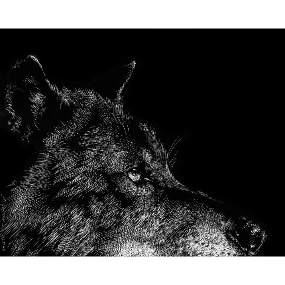 Black Wolf Poster Print - Julie T. Chapman-VARPDX73956GG Image 1