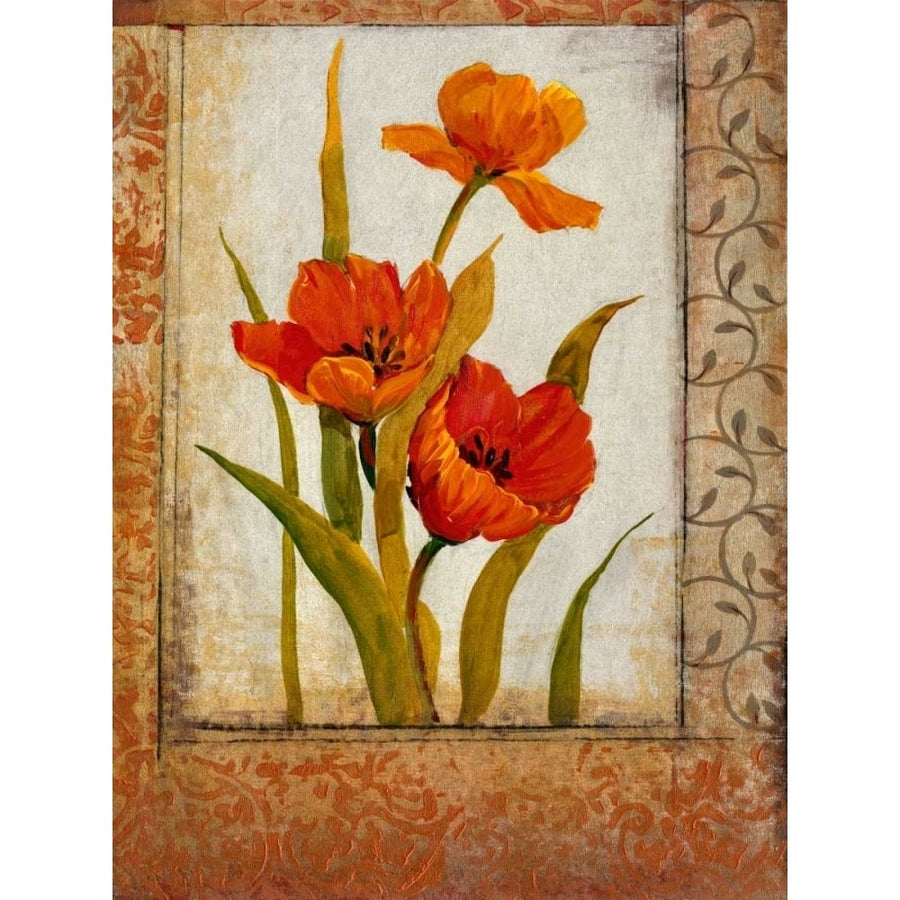 Tulip Inset II Poster Print - Tim OToole-VARPDX74002GG Image 1